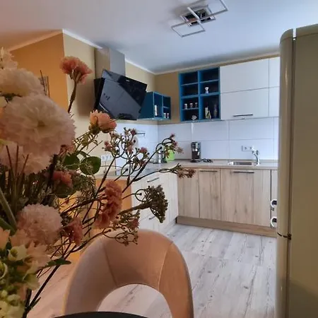 Lovely 2-bedroom Unit In Duesseldorf Tastefully Furnished Dusseldorf